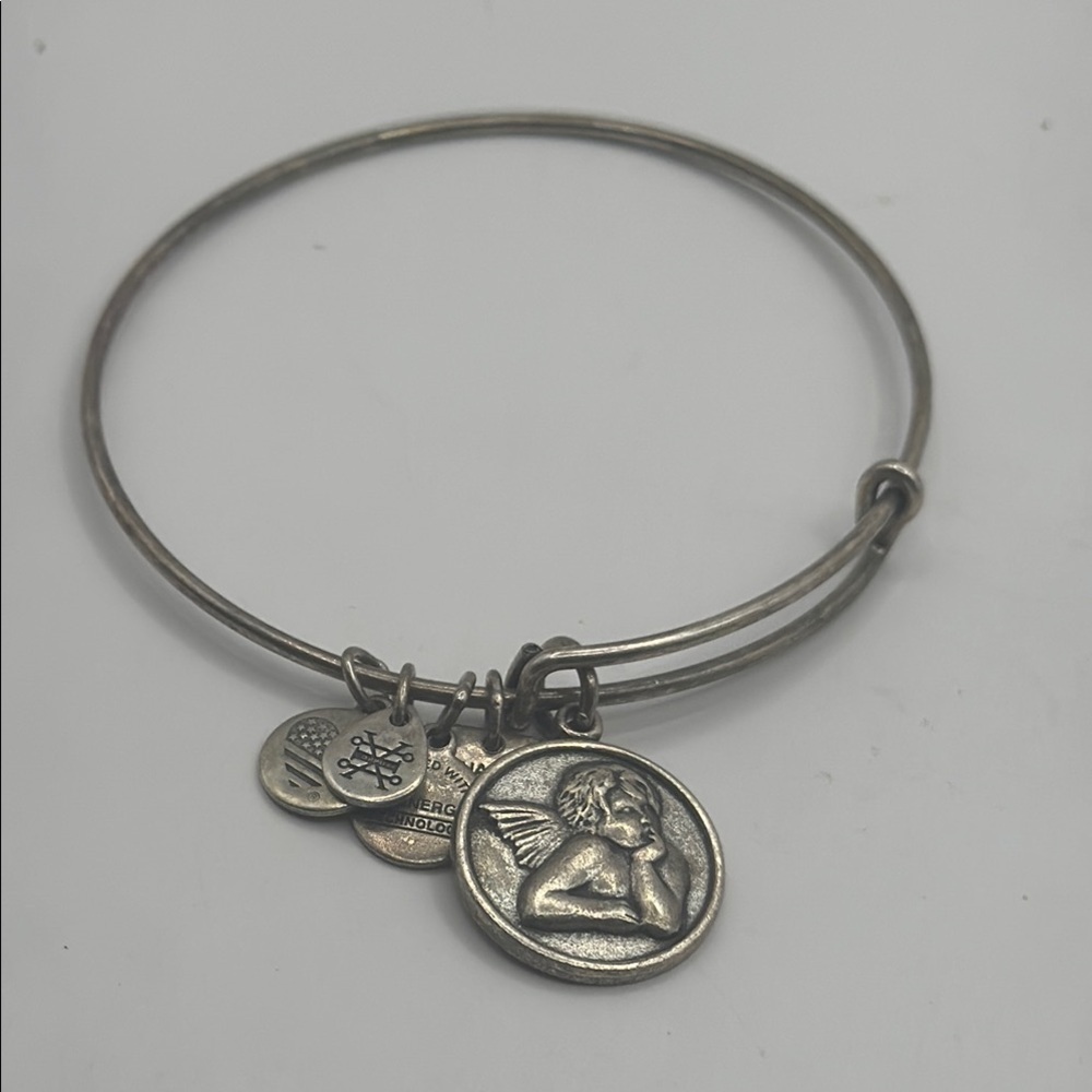 Alex and Ani  Charm Silver Bangle